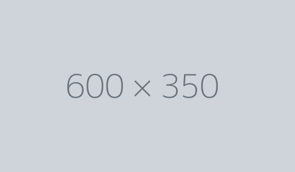 Intro Image displaying the image dimensions of 600x350