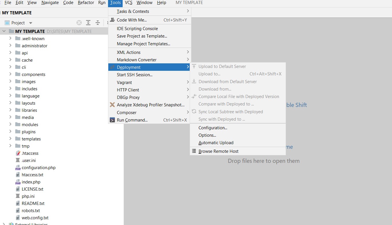 PHP Storm set up FTP credentials