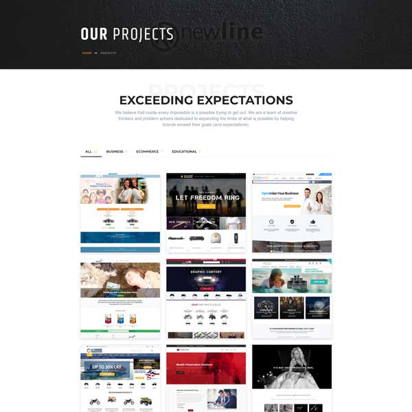 Website screenshot of a project portfolio category page for New Line Web Design