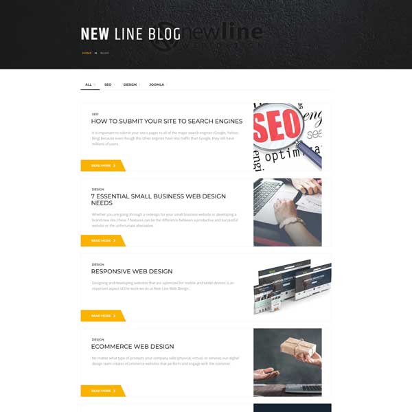 Website screenshot of blog category page for New Line Web Design